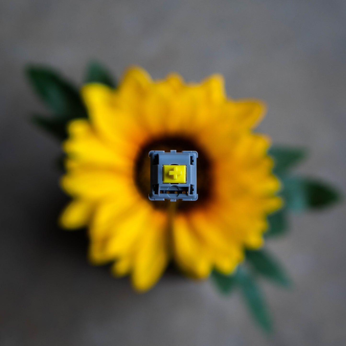 POM T1 Sunflower Tactile Switches