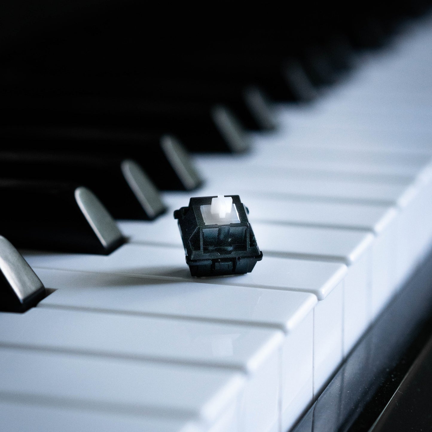 POM Piano Linear Switches